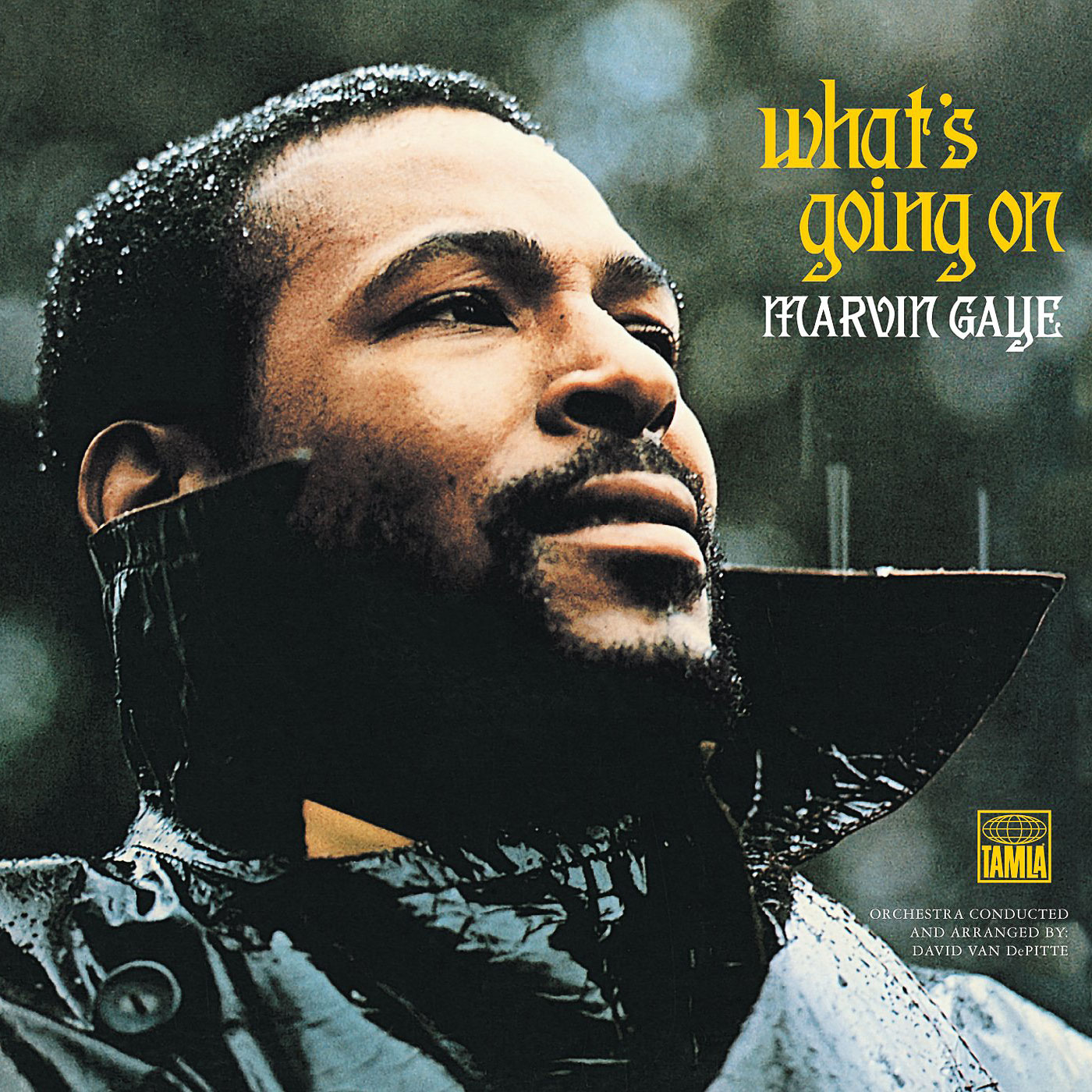 208 Marvin Gaye – Whats Going On