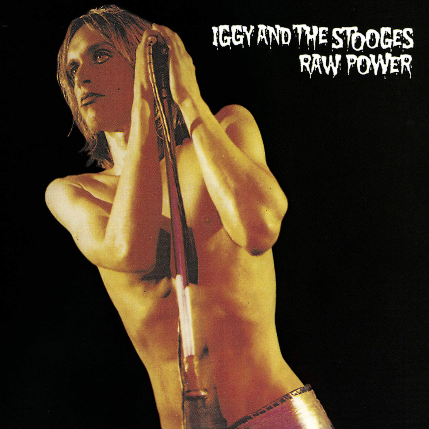 298 Iggy and the Stooges – Raw Power
