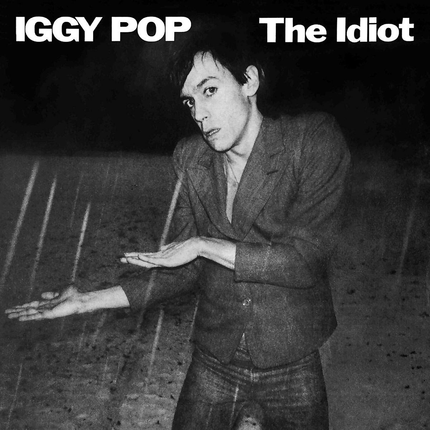 387 Iggy Pop – The Idiot