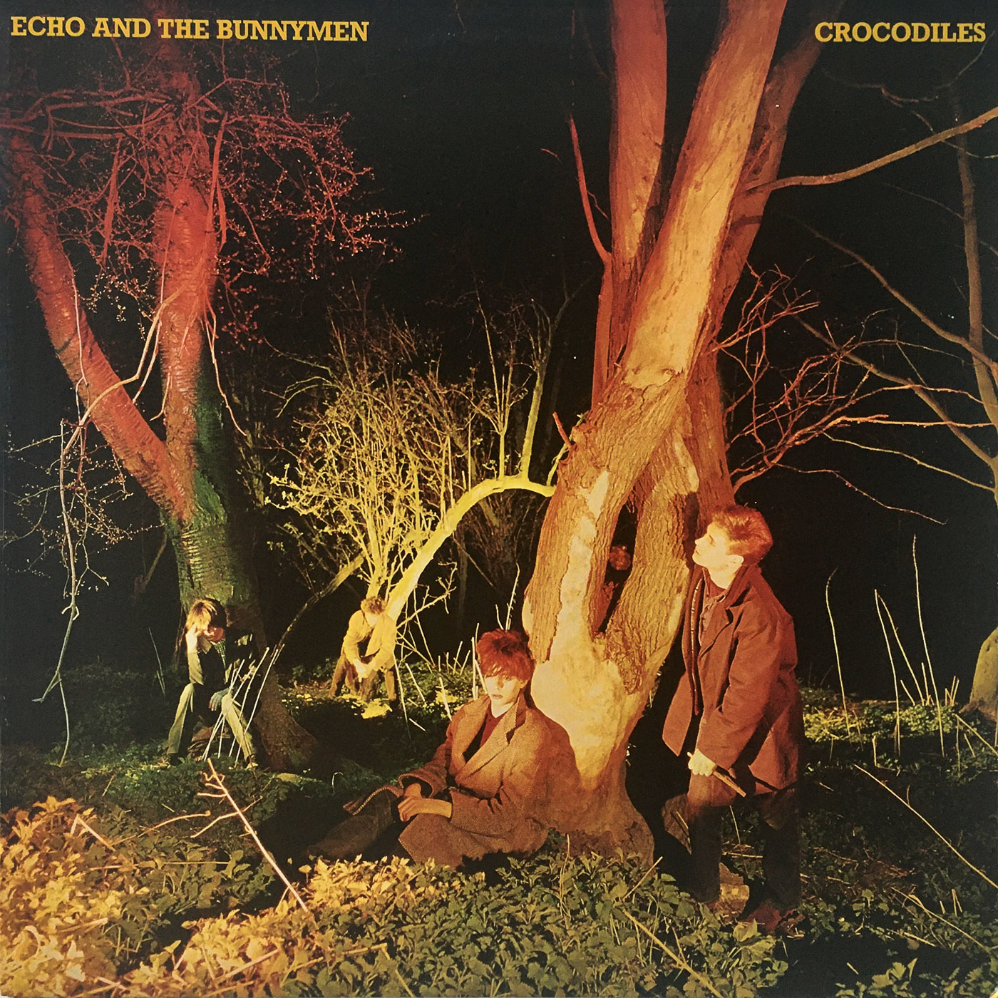 462 Echo & the Bunnymen – Crocodiles