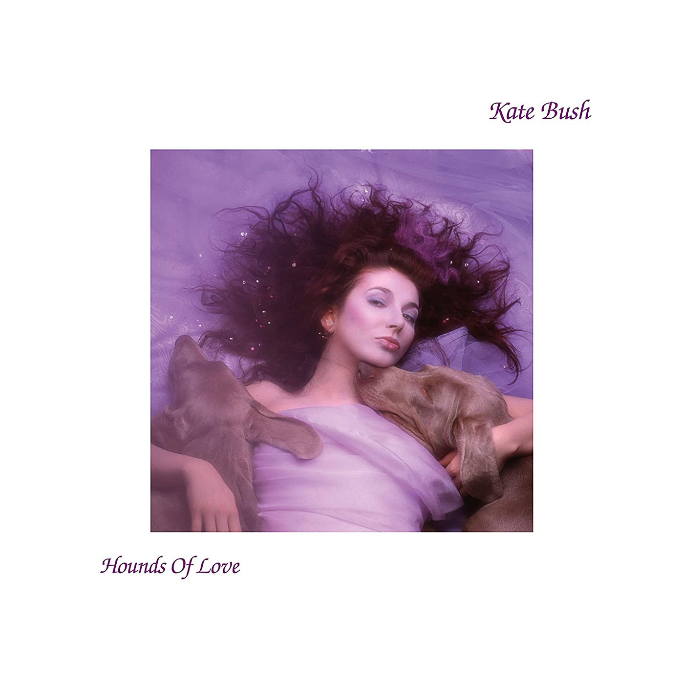 557 Kate Bush – Hounds of Love