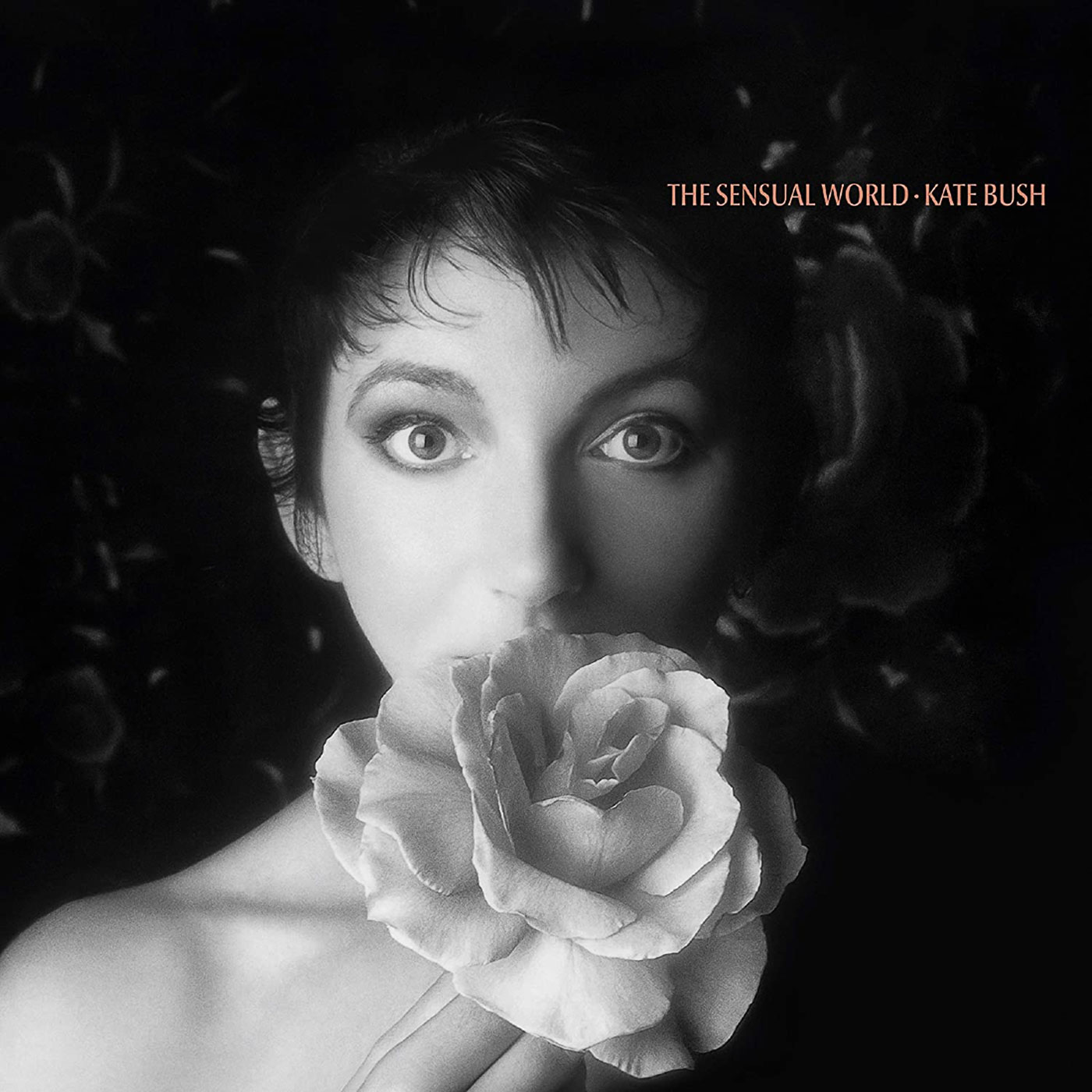 650 Kate Bush – The Sensual World