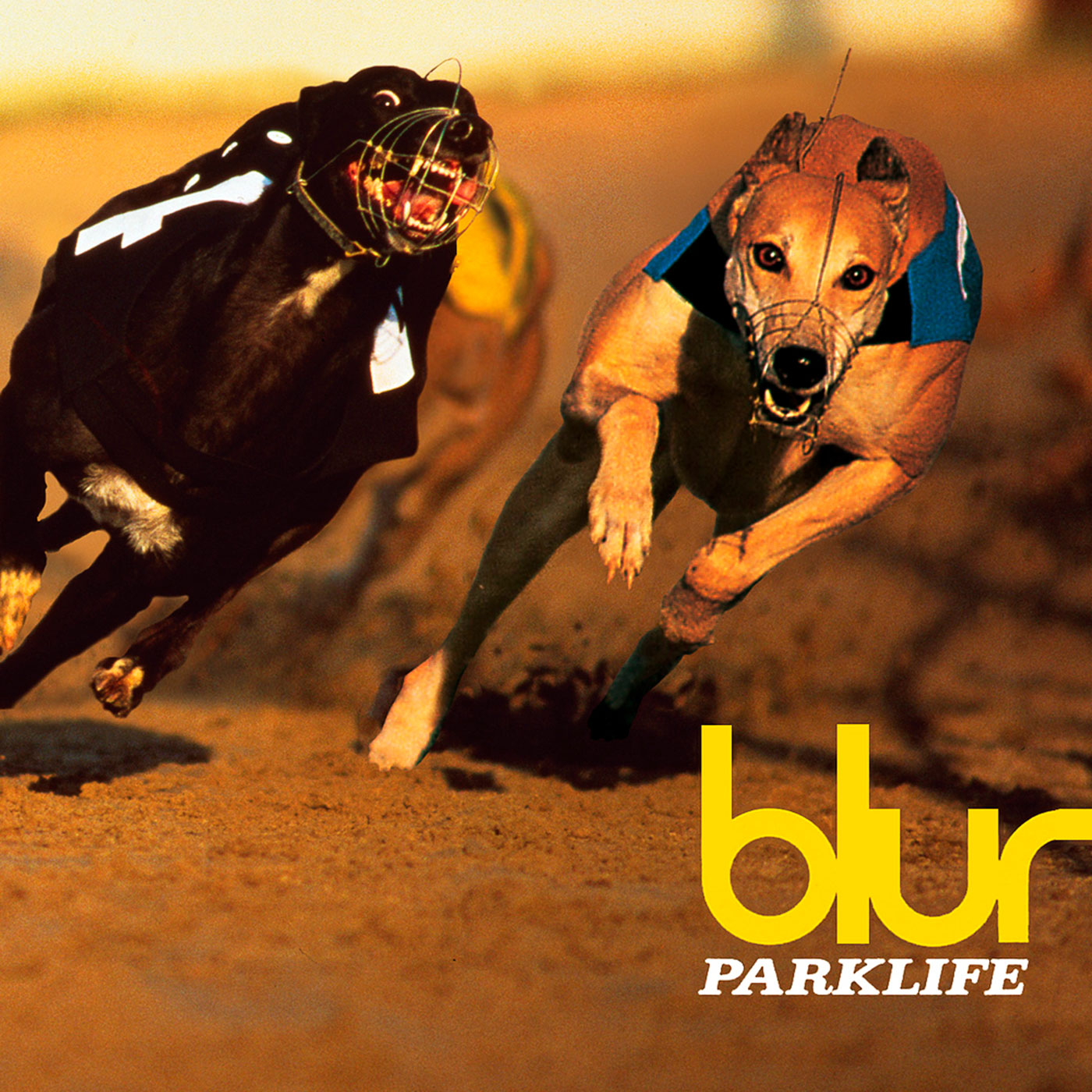 772 Blur – Parklife