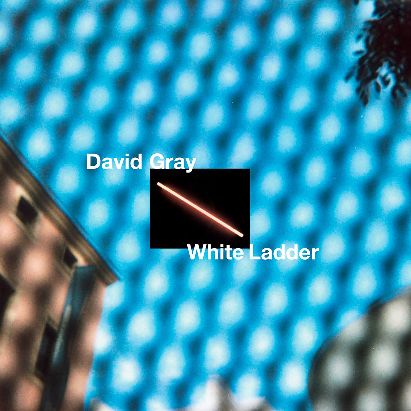 866 David Gray – White Ladder