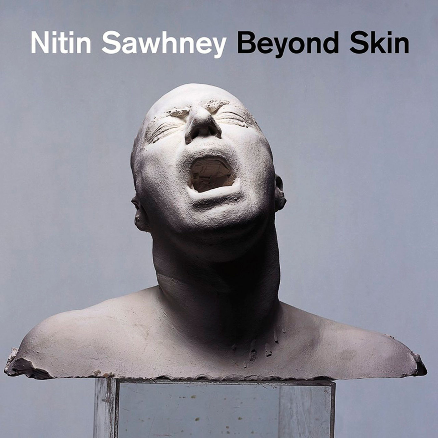 889 Nitin Sawhney – Beyond Skin
