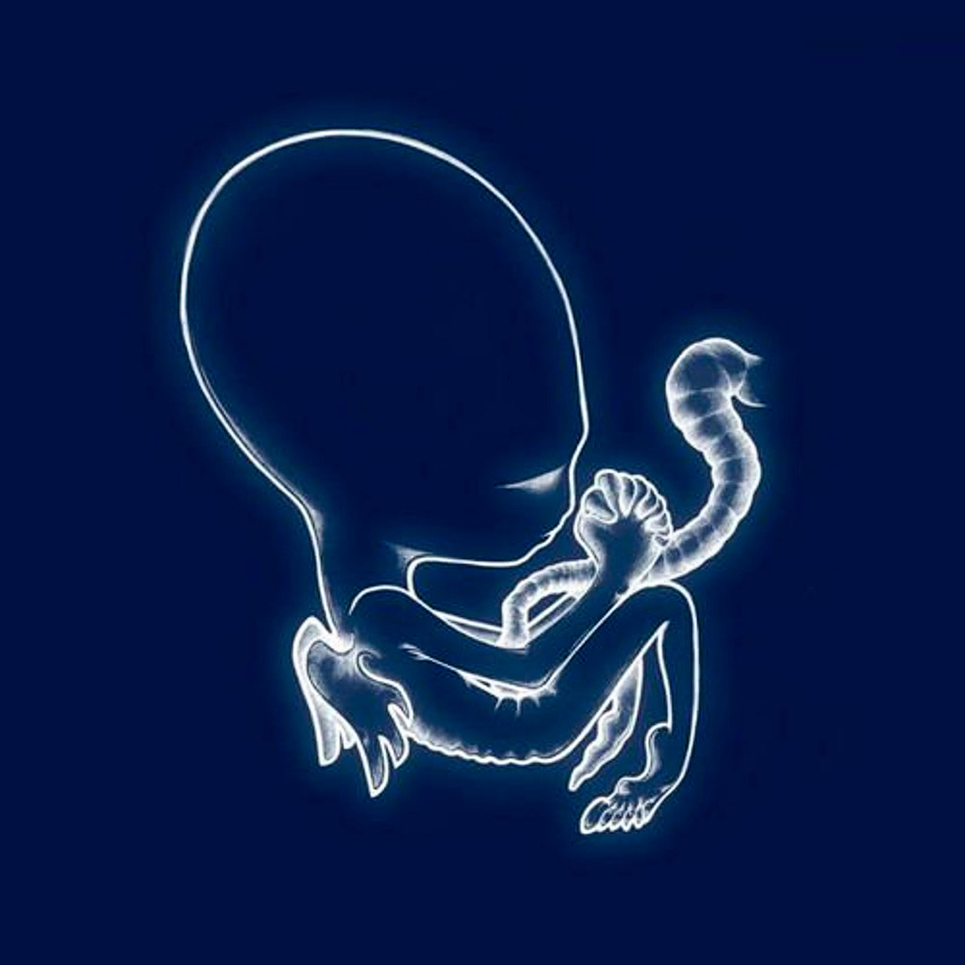 902 Sigur Rós – Ágætis Byrjun
